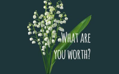 What are you worth?