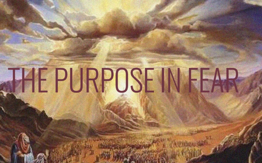 The Purpose In Fear