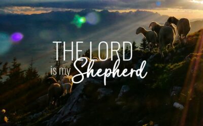 The 23rd Psalm